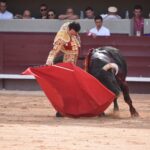 Istres (Francia) - Corrida de toros - Tarde - Domingo 17 de junio de 2018