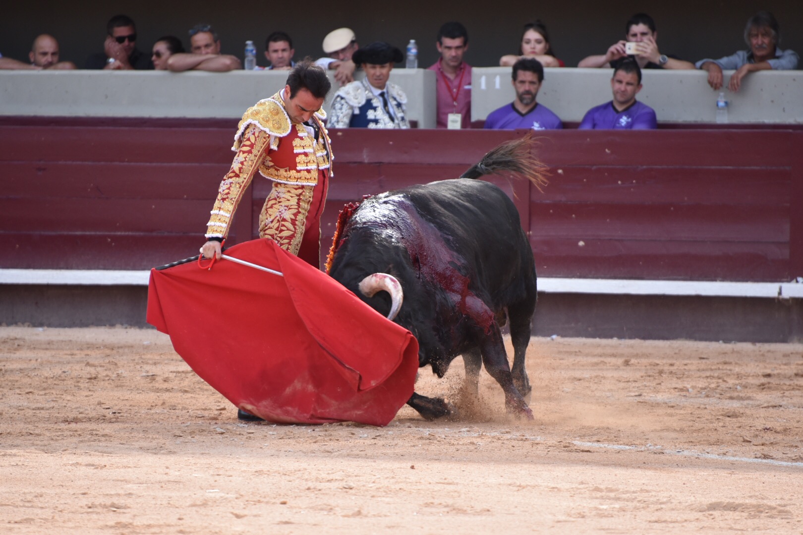 Istres (Francia) - Corrida de toros - Tarde - Domingo 17 de junio de 2018