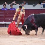 Istres (Francia) - Corrida de toros - Tarde - Domingo 17 de junio de 2018