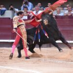 Istres (Francia) - Corrida de toros - Tarde - Domingo 17 de junio de 2018