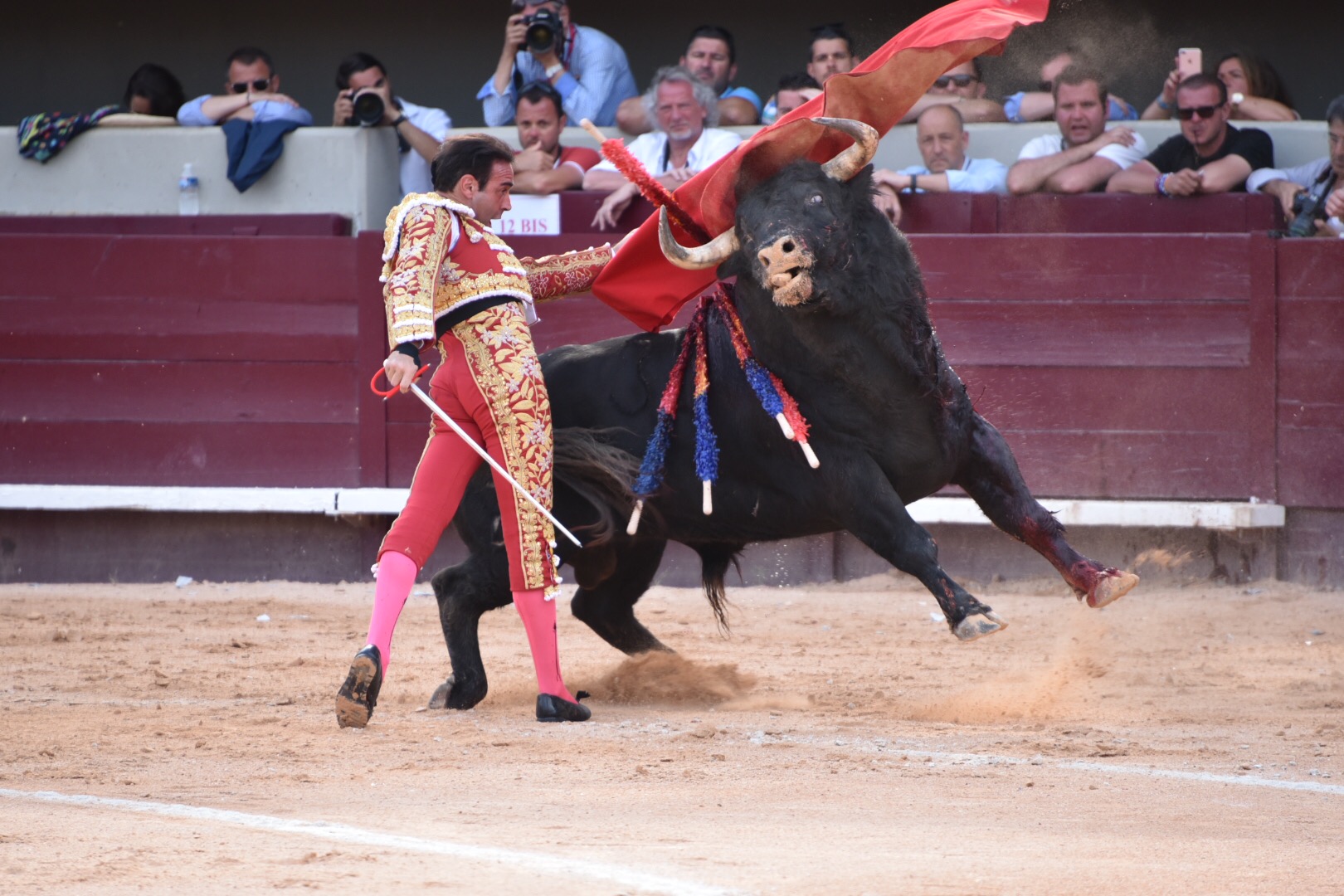 Istres (Francia) - Corrida de toros - Tarde - Domingo 17 de junio de 2018