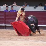 Istres (Francia) - Corrida de toros - Tarde - Domingo 17 de junio de 2018