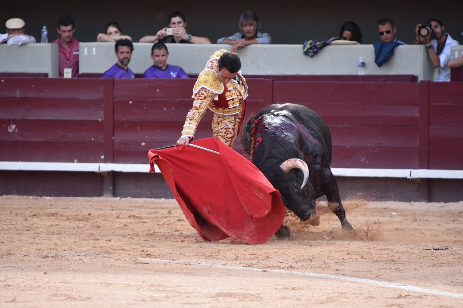 Istres (Francia) - Corrida de toros - Tarde - Domingo 17 de junio de 2018
