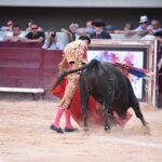 Istres (Francia) - Corrida de toros - Tarde - Domingo 17 de junio de 2018