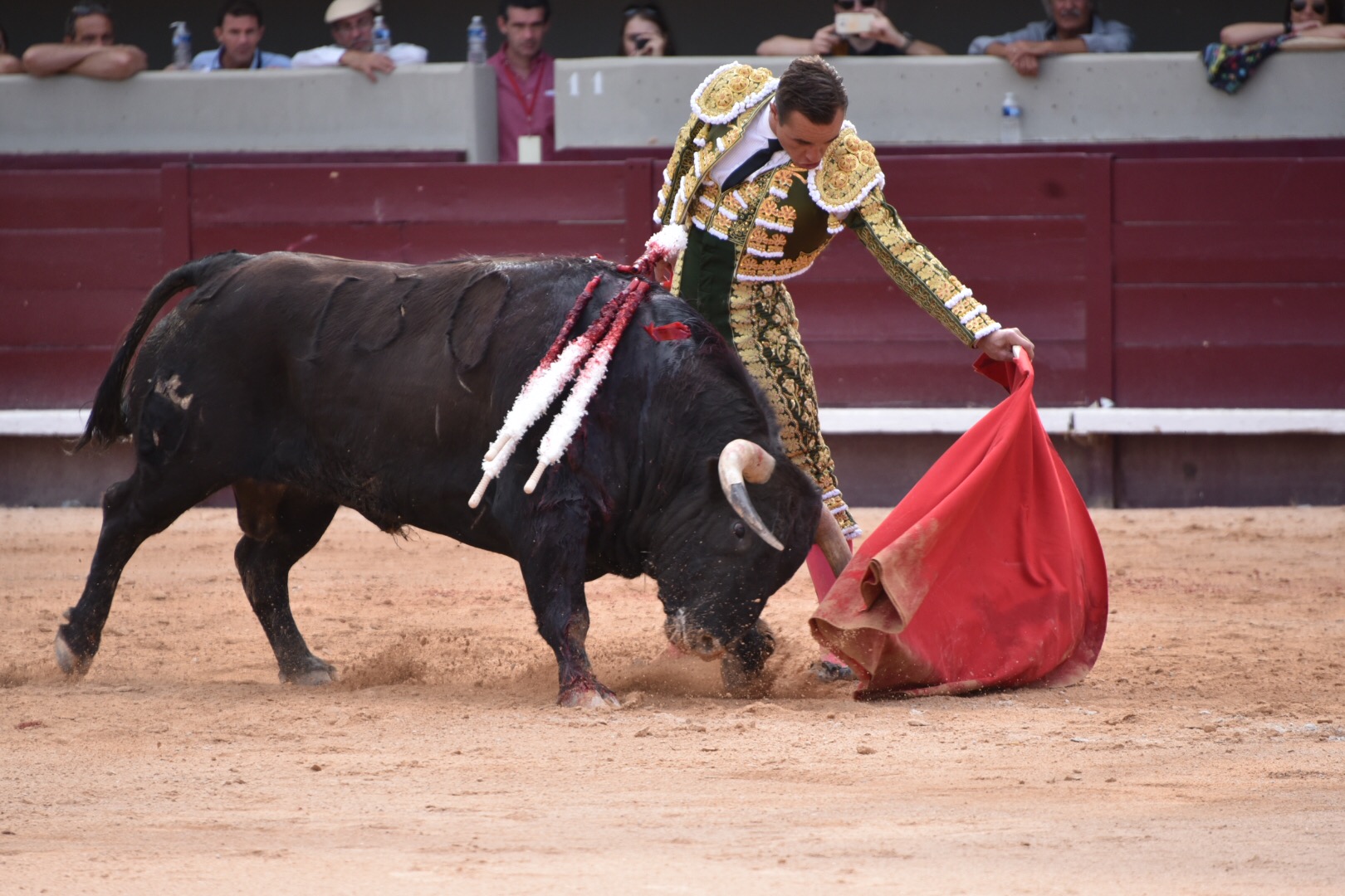 Istres (Francia) - Corrida de toros - Tarde - Domingo 17 de junio de 2018