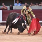 Istres (Francia) - Corrida de toros - Tarde - Domingo 17 de junio de 2018