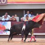 Istres (Francia) - Corrida de toros - Tarde - Domingo 17 de junio de 2018