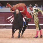 Istres (Francia) - Corrida de toros - Tarde - Domingo 17 de junio de 2018