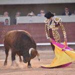 Istres (Francia) - Corrida de toros - Tarde - Domingo 17 de junio de 2018