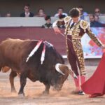 Istres (Francia) - Corrida de toros - Tarde - Domingo 17 de junio de 2018