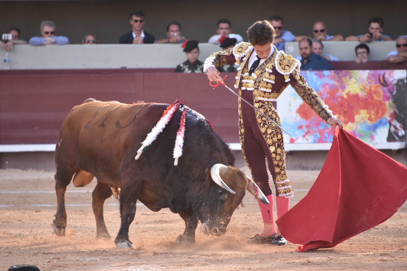 Istres (Francia) - Corrida de toros - Tarde - Domingo 17 de junio de 2018