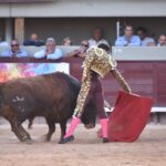 Istres (Francia) - Corrida de toros - Tarde - Domingo 17 de junio de 2018