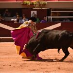 Istres (Francia) - Novillada con picadores matinal - Sábado 16 de junio de 2018