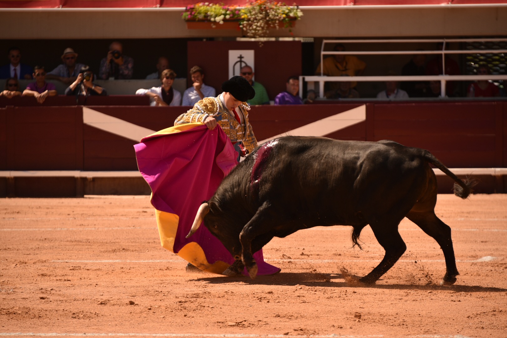 Istres (Francia) - Novillada con picadores matinal - Sábado 16 de junio de 2018