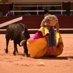 Istres (Francia) - Novillada con picadores matinal - Sábado 16 de junio de 2018