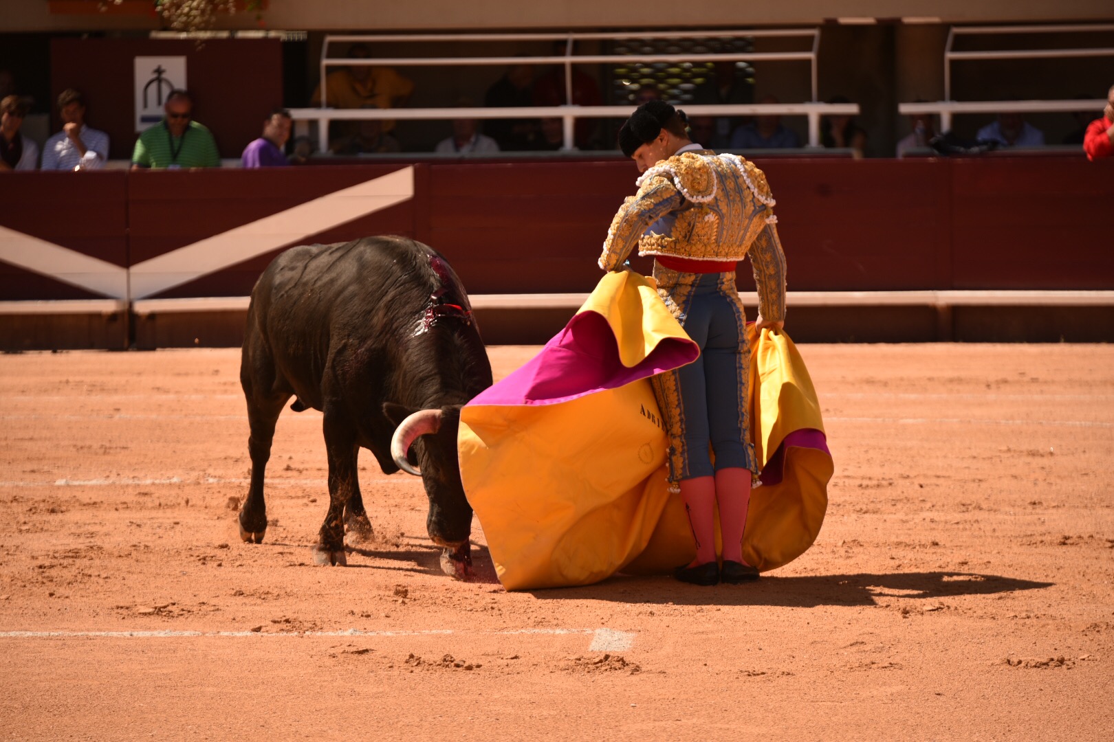 Istres (Francia) - Novillada con picadores matinal - Sábado 16 de junio de 2018