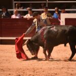 Istres (Francia) - Novillada con picadores matinal - Sábado 16 de junio de 2018