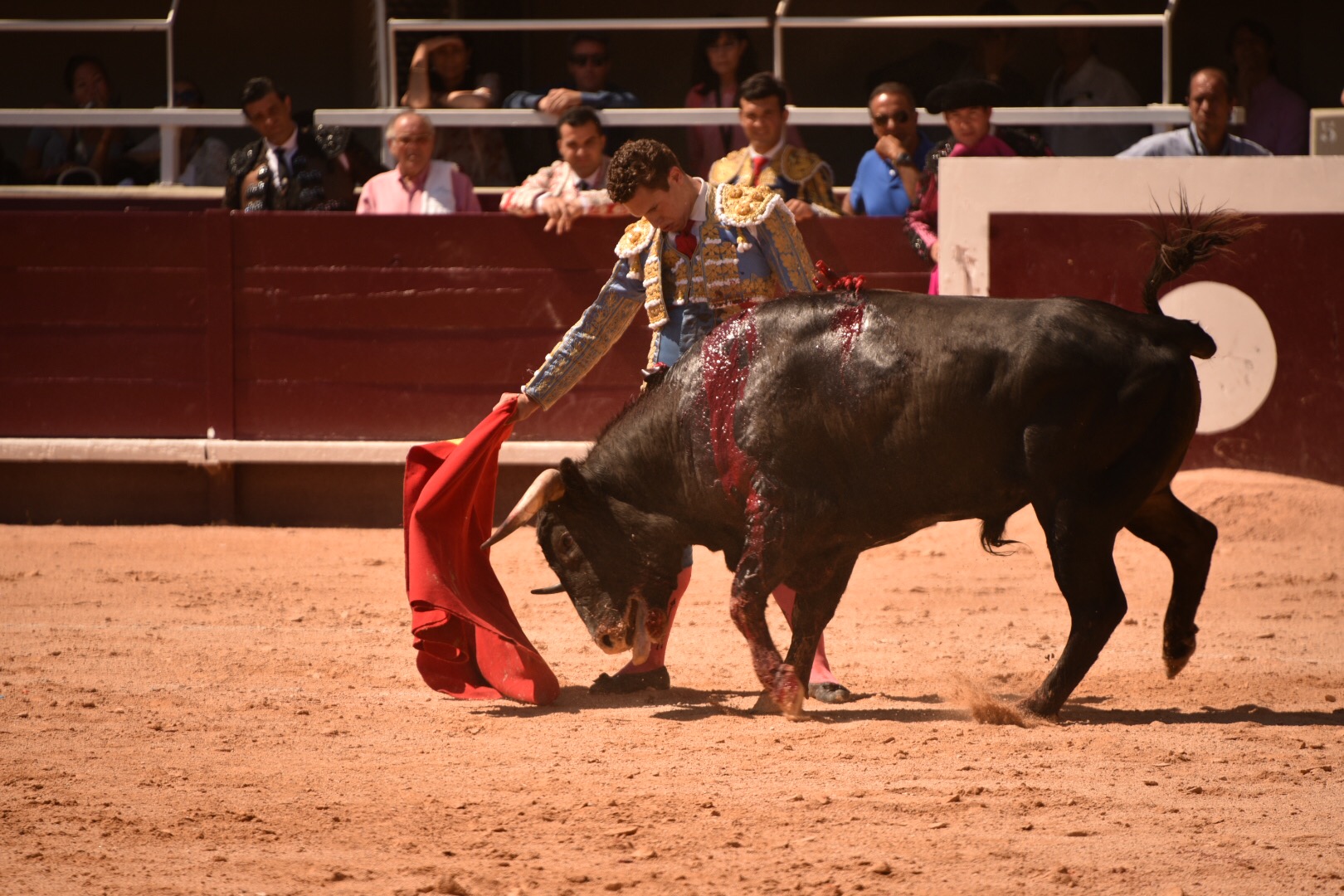 Istres (Francia) - Novillada con picadores matinal - Sábado 16 de junio de 2018