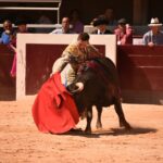 Istres (Francia) - Novillada con picadores matinal - Sábado 16 de junio de 2018