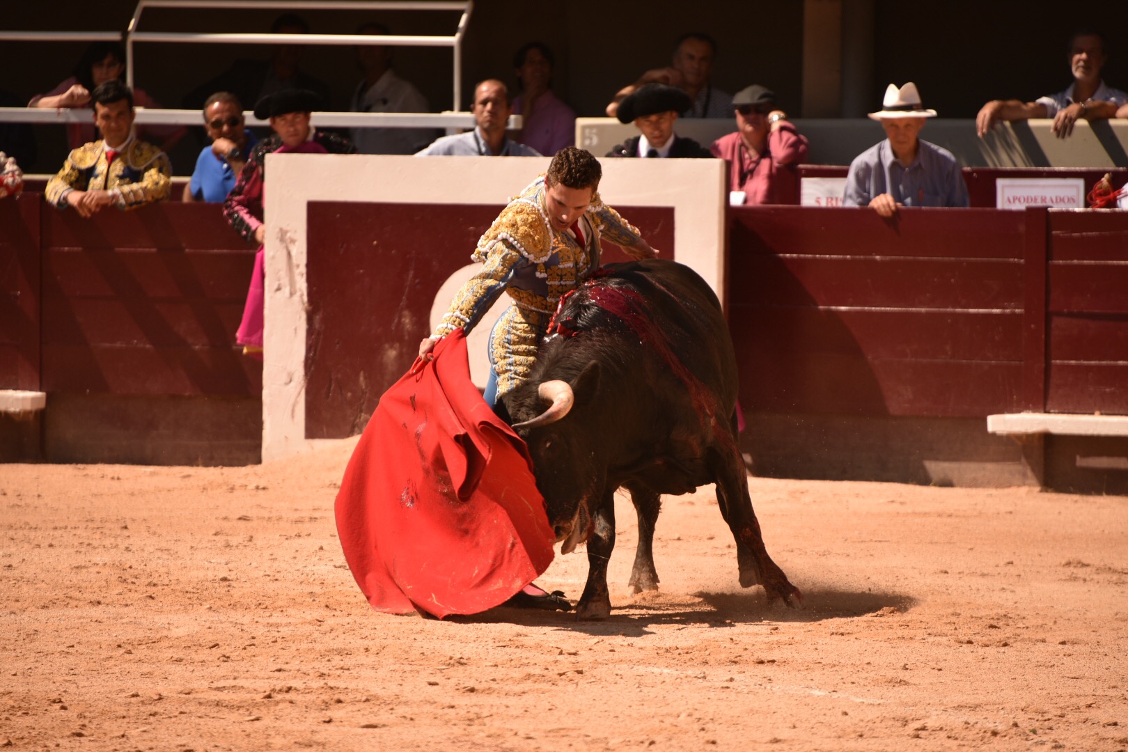 Istres (Francia) - Novillada con picadores matinal - Sábado 16 de junio de 2018