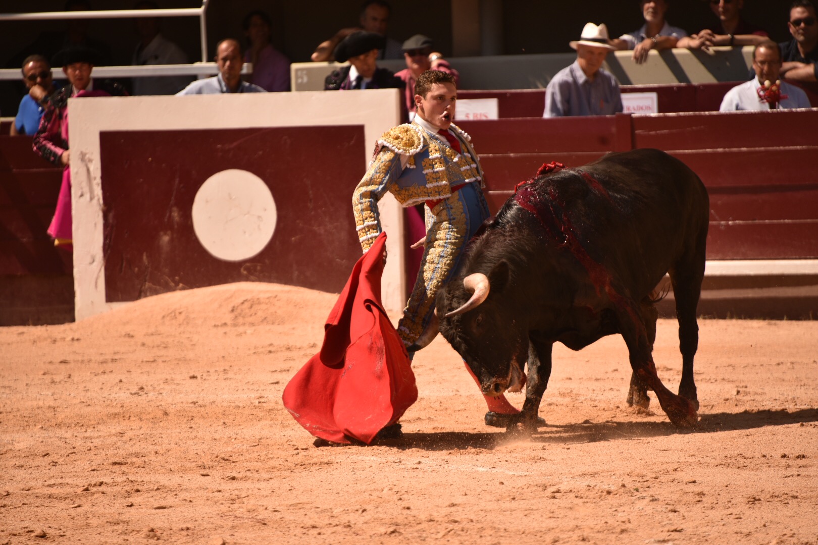 Istres (Francia) - Novillada con picadores matinal - Sábado 16 de junio de 2018