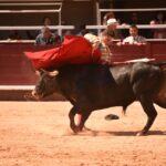 Istres (Francia) - Novillada con picadores matinal - Sábado 16 de junio de 2018
