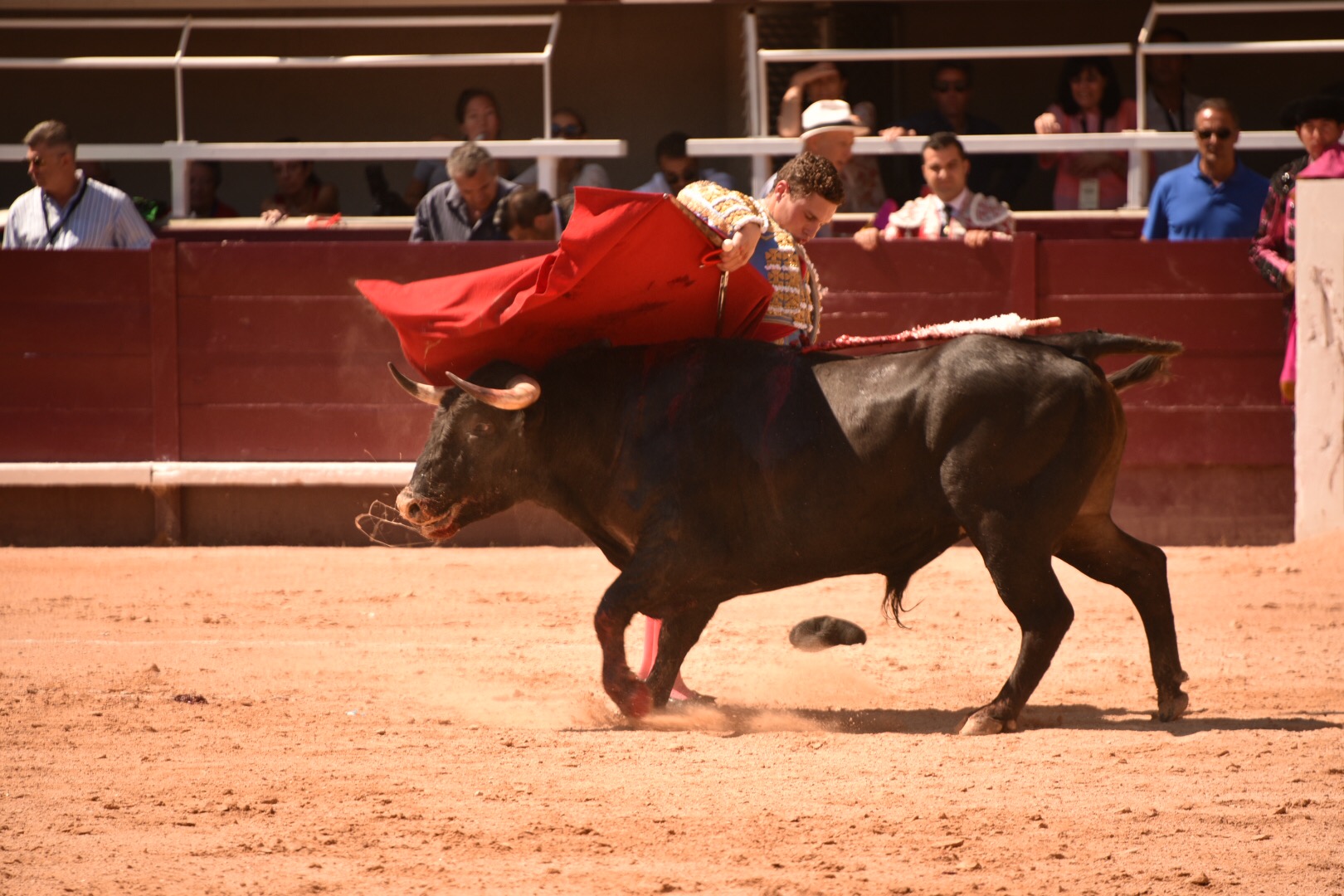 Istres (Francia) - Novillada con picadores matinal - Sábado 16 de junio de 2018