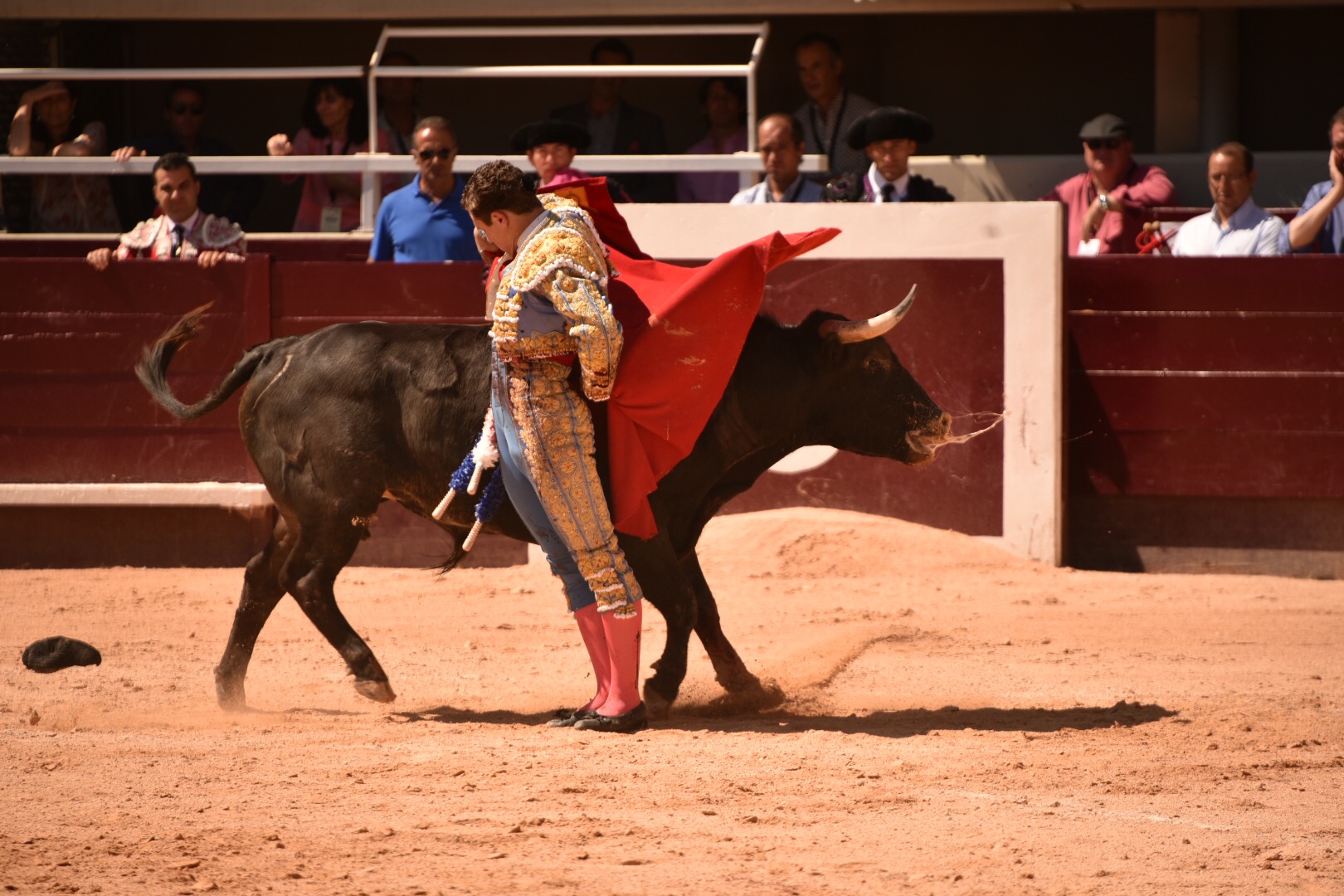 Istres (Francia) - Novillada con picadores matinal - Sábado 16 de junio de 2018