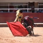 Istres (Francia) - Novillada con picadores matinal - Sábado 16 de junio de 2018