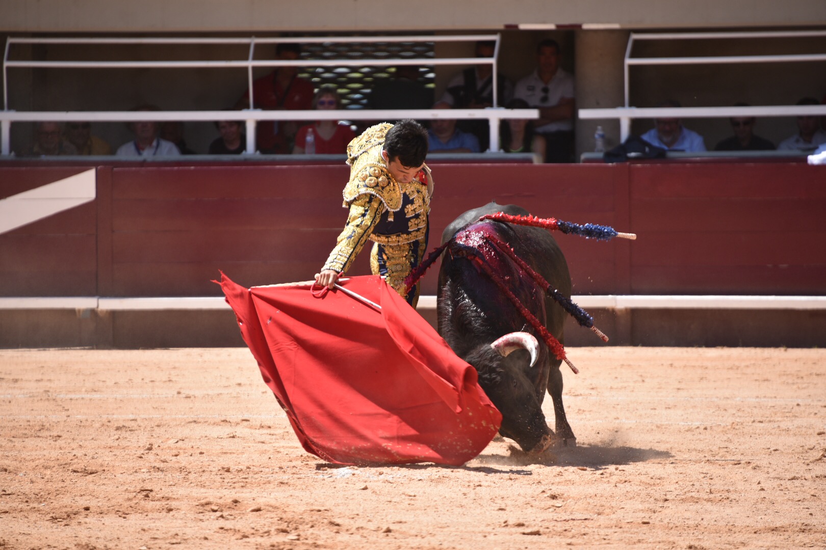 Istres (Francia) - Novillada con picadores matinal - Sábado 16 de junio de 2018