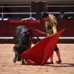 Istres (Francia) - Novillada con picadores matinal - Sábado 16 de junio de 2018