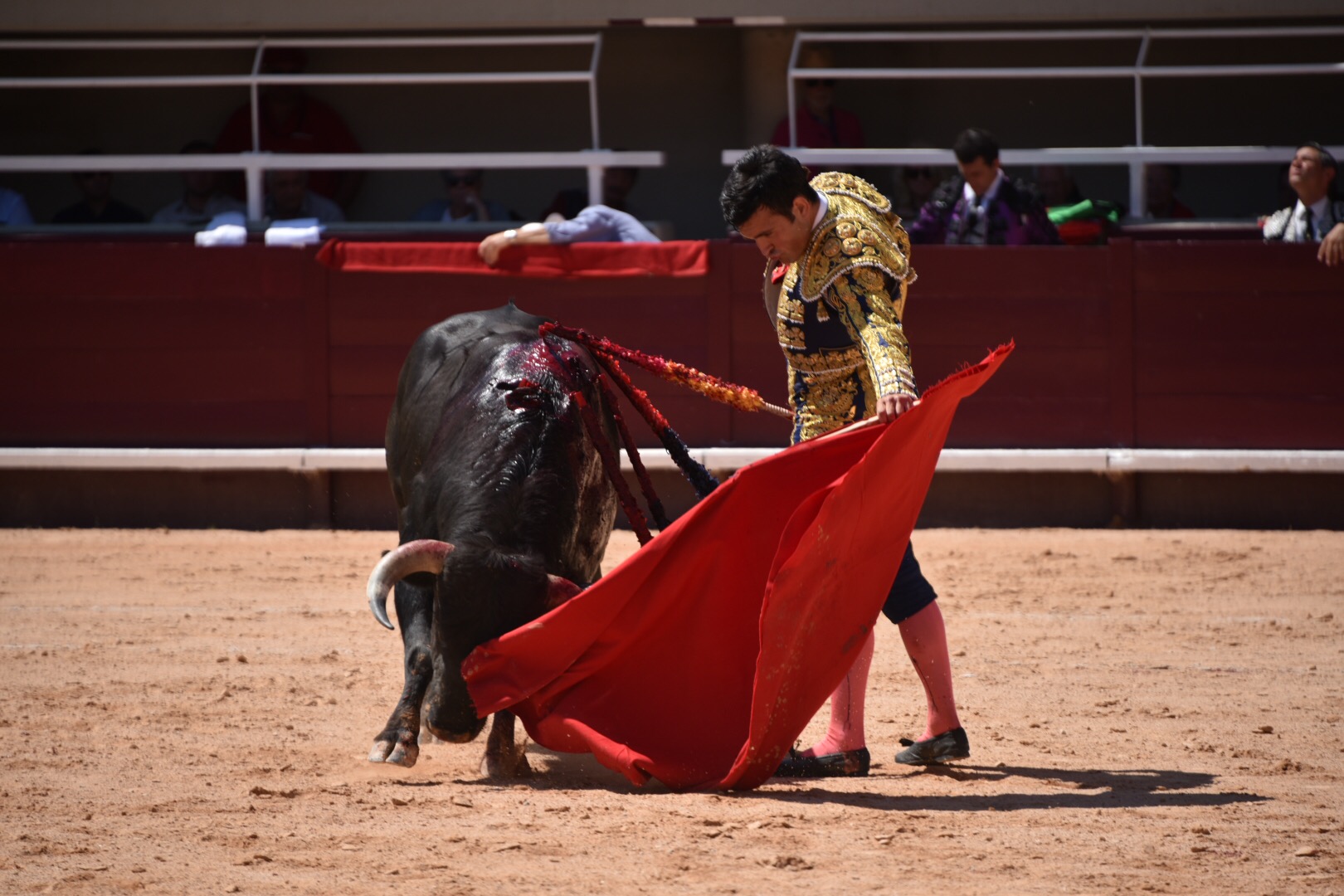 Istres (Francia) - Novillada con picadores matinal - Sábado 16 de junio de 2018
