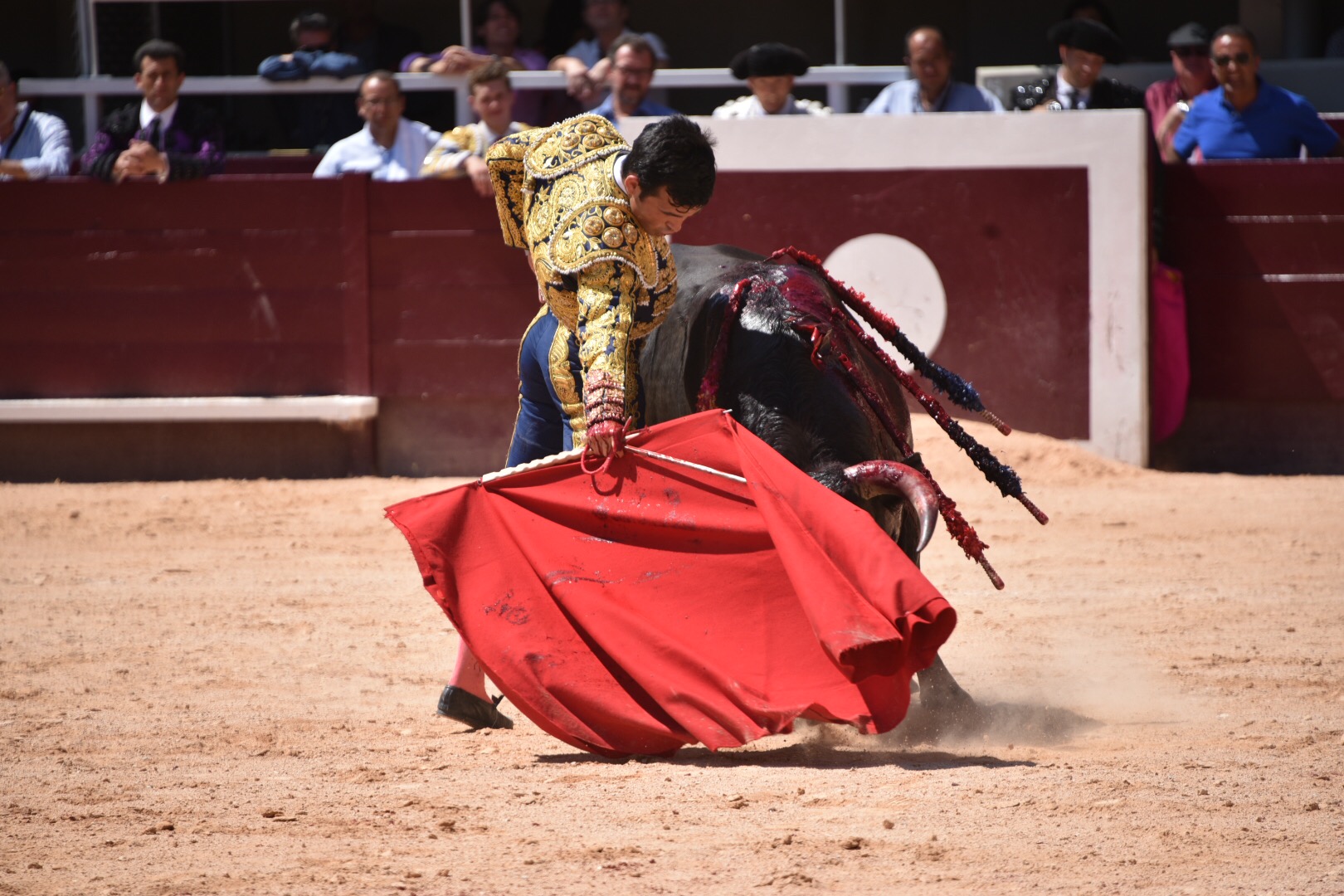 Istres (Francia) - Novillada con picadores matinal - Sábado 16 de junio de 2018