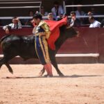 Istres (Francia) - Novillada con picadores matinal - Sábado 16 de junio de 2018