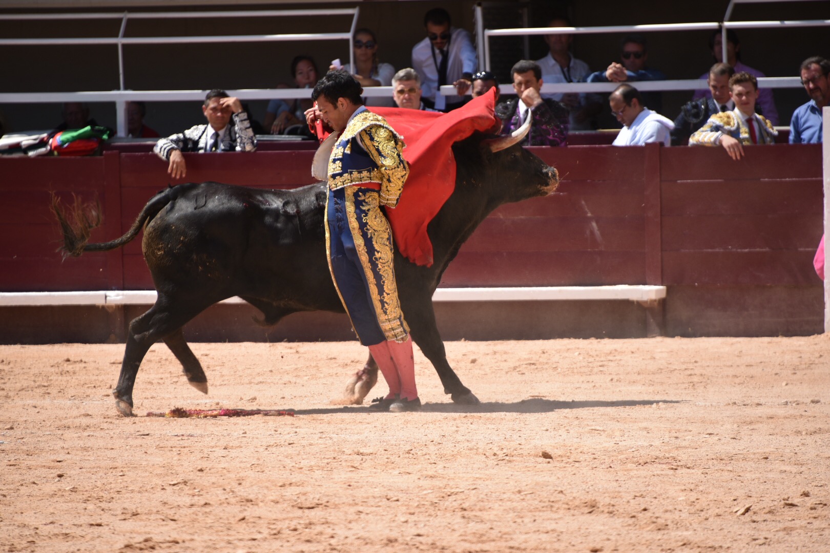 Istres (Francia) - Novillada con picadores matinal - Sábado 16 de junio de 2018