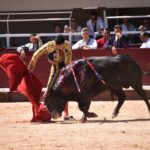 Istres (Francia) - Novillada con picadores matinal - Sábado 16 de junio de 2018