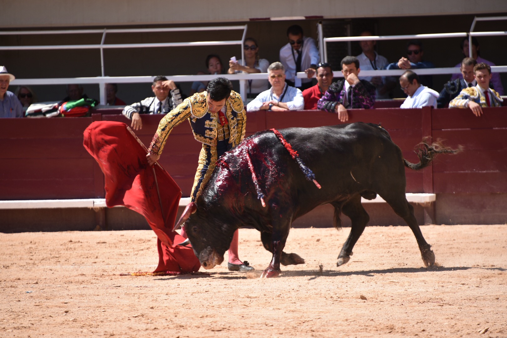 Istres (Francia) - Novillada con picadores matinal - Sábado 16 de junio de 2018
