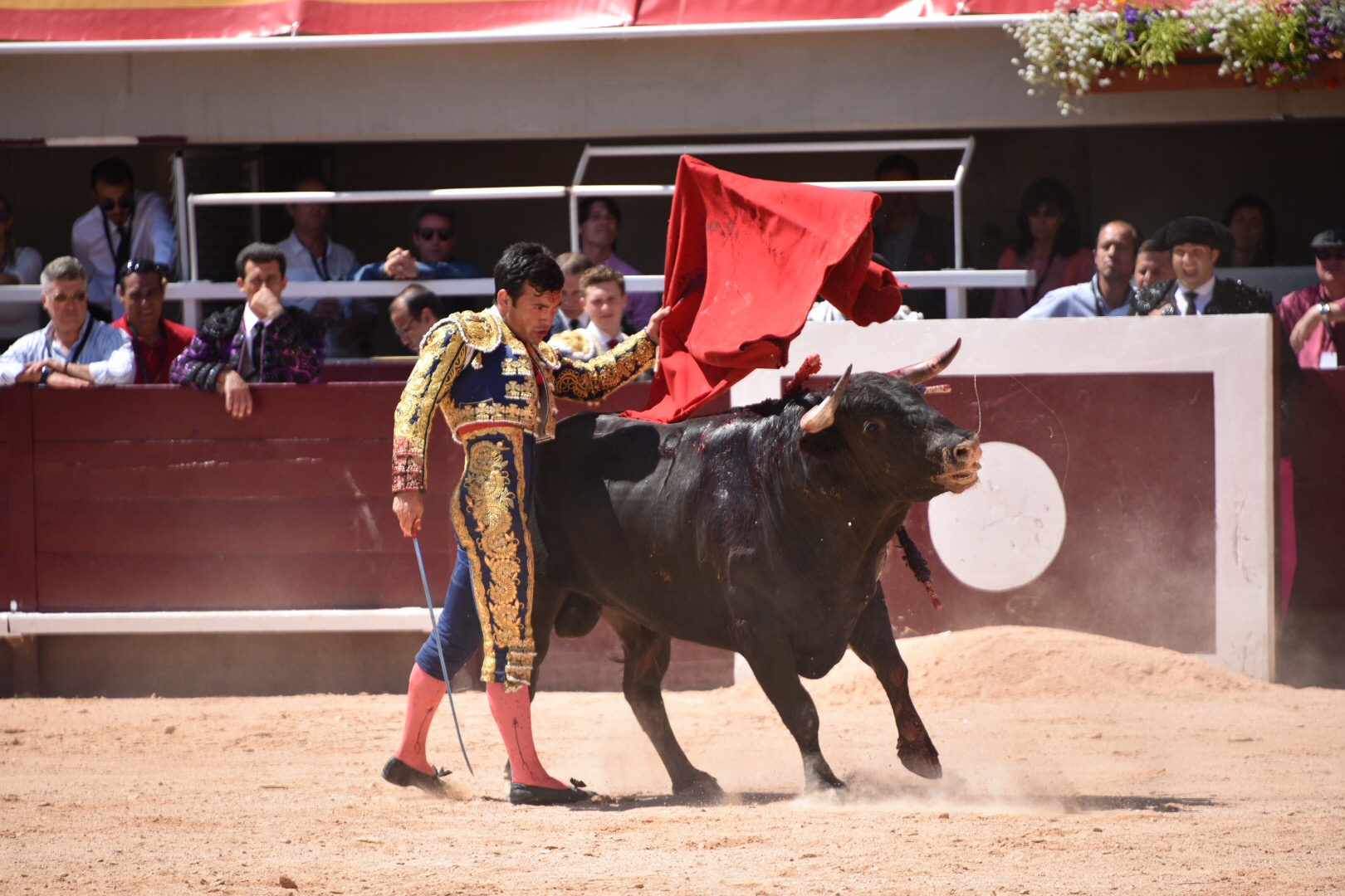 Istres (Francia) - Novillada con picadores matinal - Sábado 16 de junio de 2018