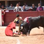 Istres (Francia) - Novillada con picadores matinal - Sábado 16 de junio de 2018