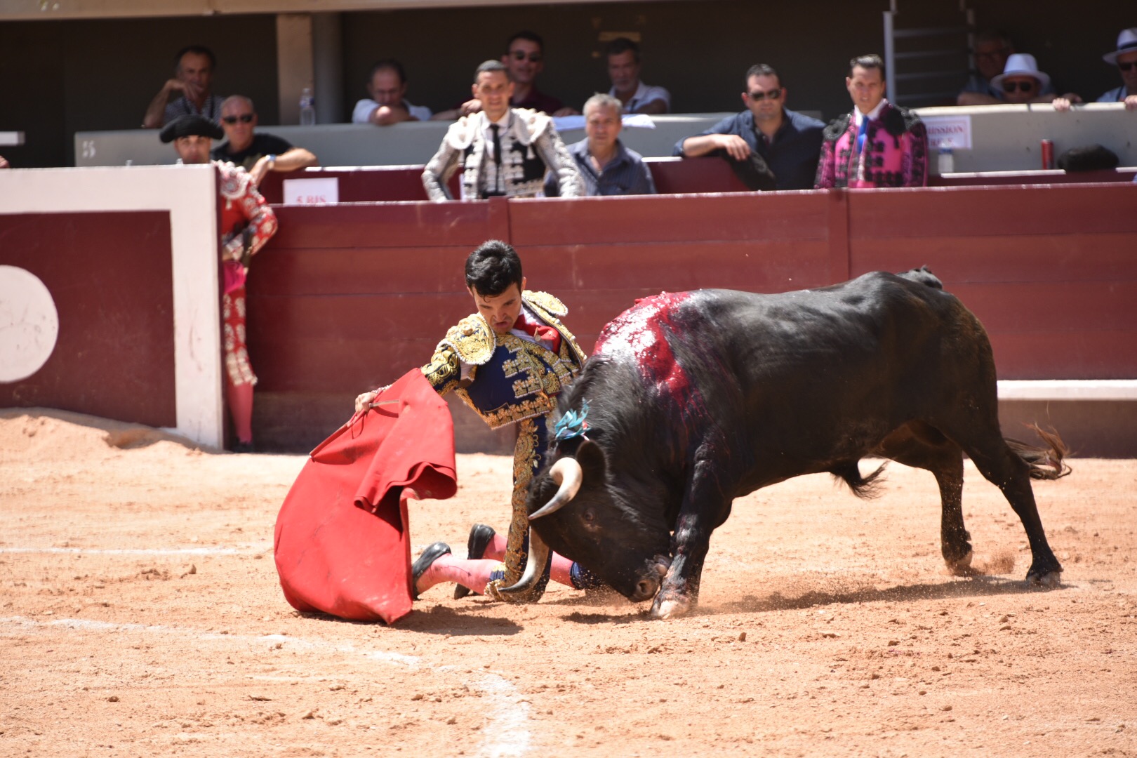 Istres (Francia) - Novillada con picadores matinal - Sábado 16 de junio de 2018