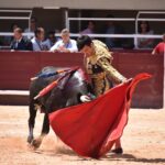 Istres (Francia) - Novillada con picadores matinal - Sábado 16 de junio de 2018