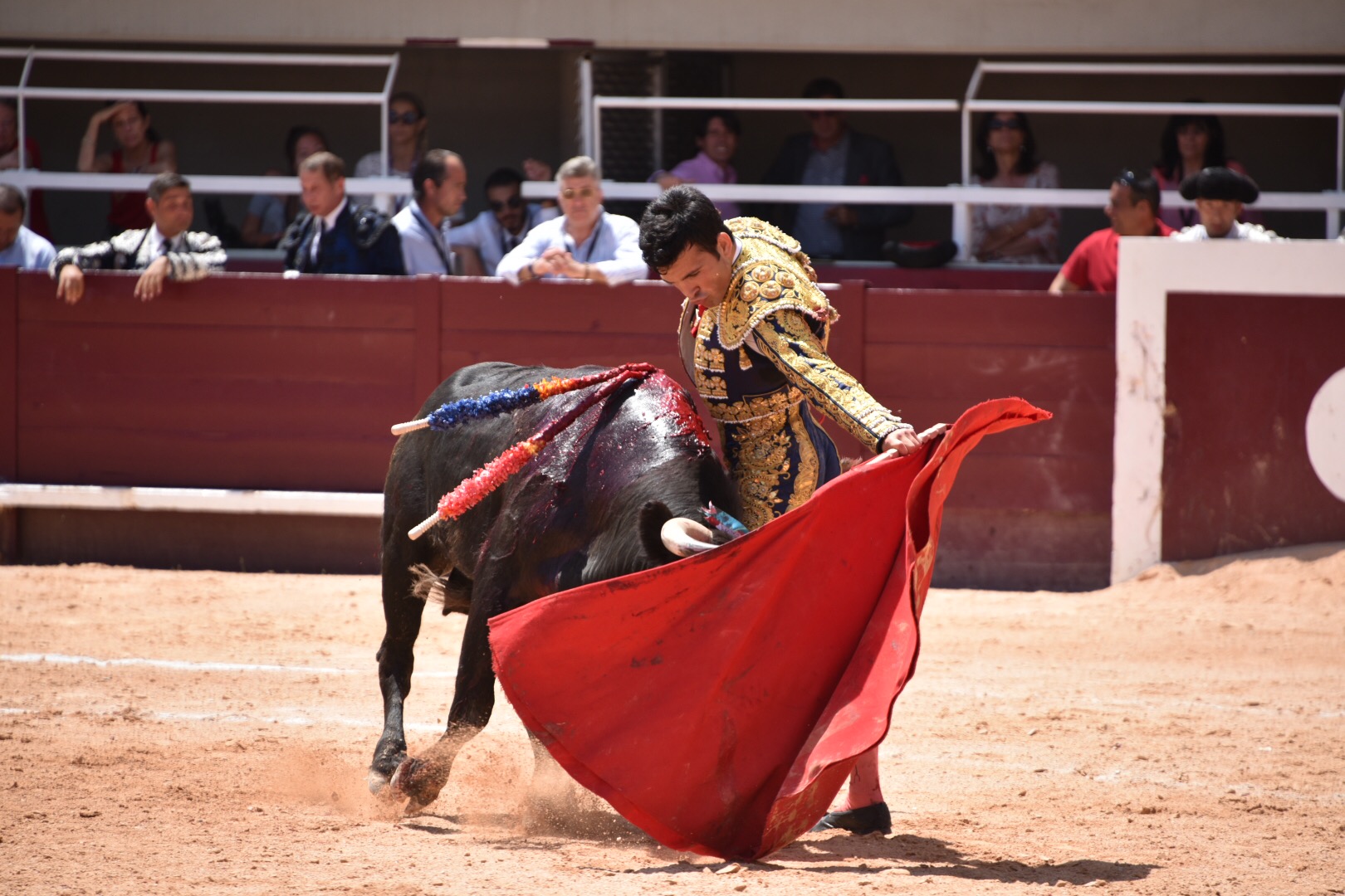 Istres (Francia) - Novillada con picadores matinal - Sábado 16 de junio de 2018