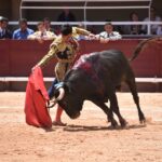 Istres (Francia) - Novillada con picadores matinal - Sábado 16 de junio de 2018