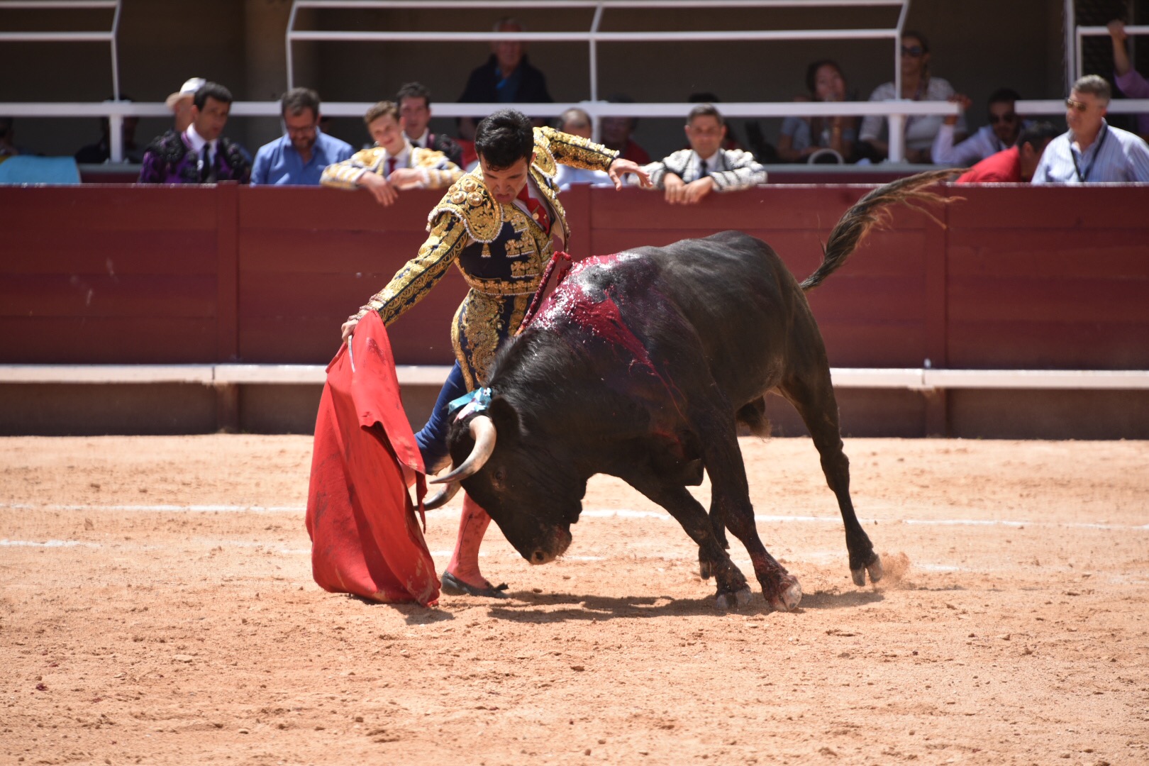 Istres (Francia) - Novillada con picadores matinal - Sábado 16 de junio de 2018