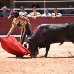 Istres (Francia) - Novillada con picadores matinal - Sábado 16 de junio de 2018