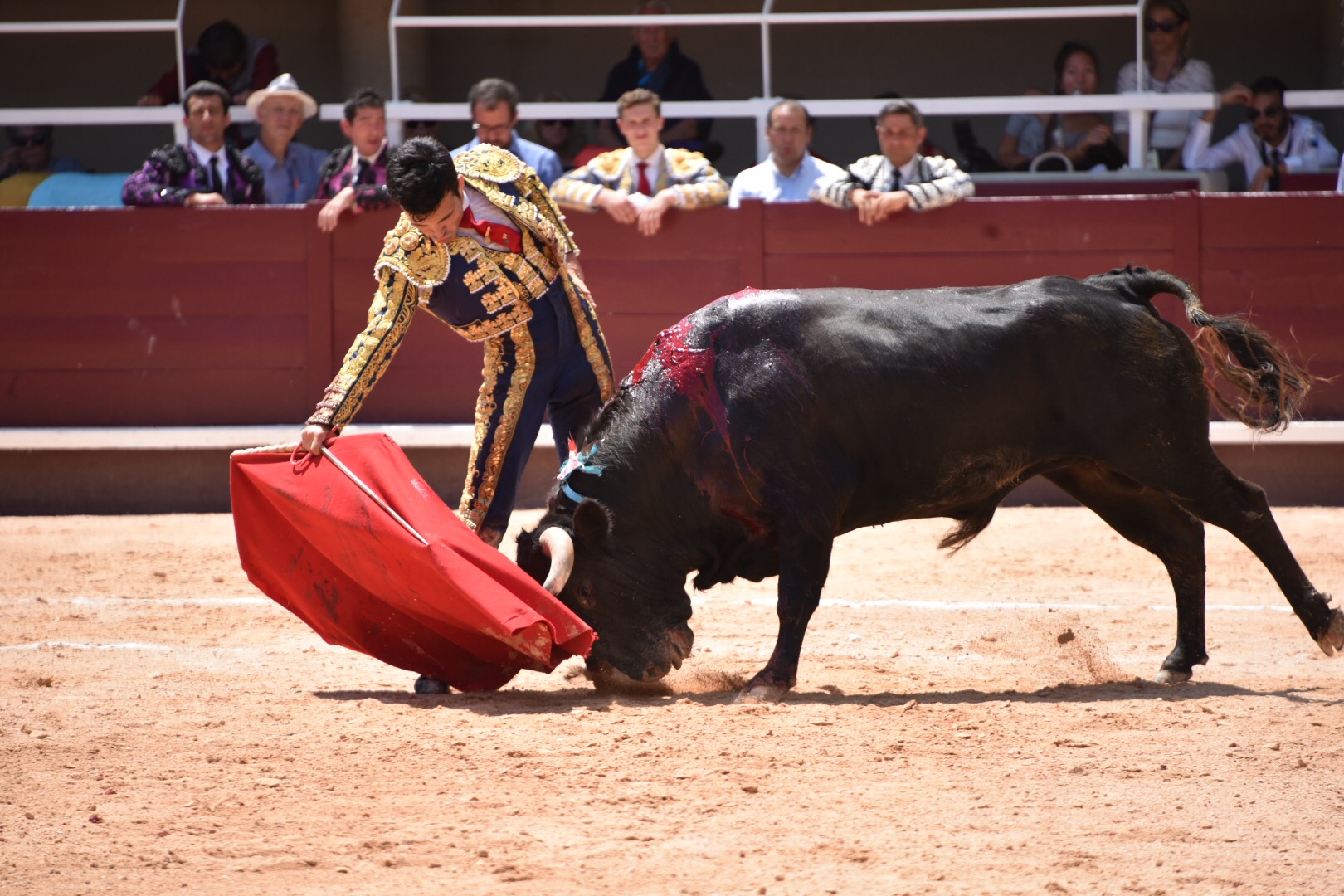 Istres (Francia) - Novillada con picadores matinal - Sábado 16 de junio de 2018