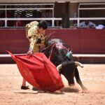Istres (Francia) - Novillada con picadores matinal - Sábado 16 de junio de 2018