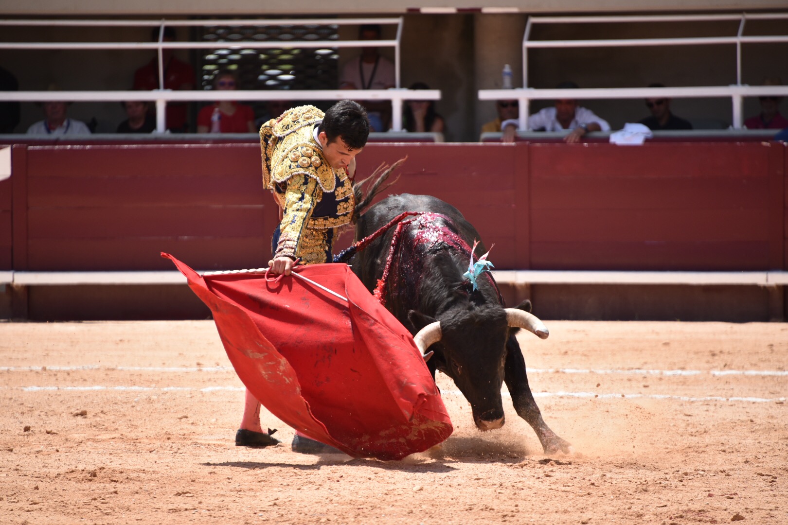 Istres (Francia) - Novillada con picadores matinal - Sábado 16 de junio de 2018
