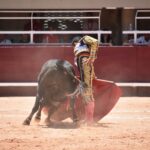 Istres (Francia) - Novillada con picadores matinal - Sábado 16 de junio de 2018