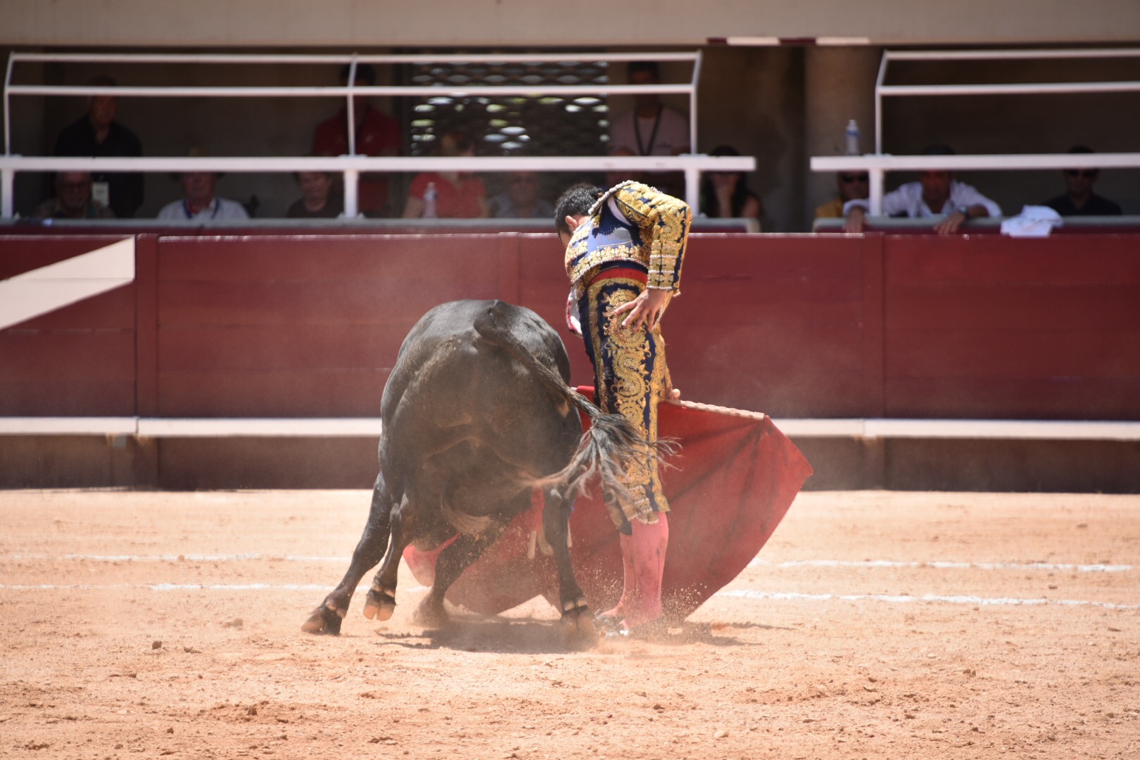 Istres (Francia) - Novillada con picadores matinal - Sábado 16 de junio de 2018